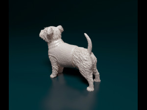 West highland white terrier in a shirt 3D Baskı Modeli