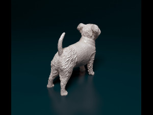 West highland white terrier in a shirt 3D Baskı Modeli