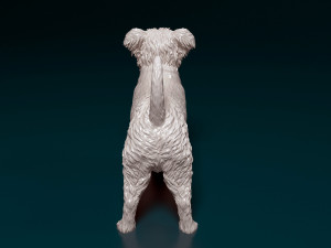 West highland white terrier in a shirt 3D Baskı Modeli