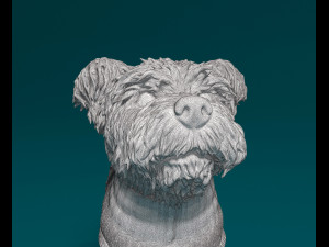 West highland white terrier in a shirt 3D Baskı Modeli
