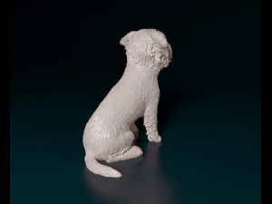 West highland white terrier sitting Modelo de Impressão 3D