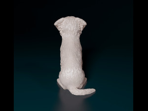 West highland white terrier sitting Modelo de Impressão 3D