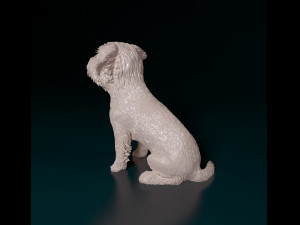 West highland white terrier sitting Modelo de Impressão 3D