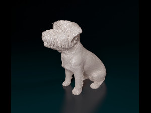 West highland white terrier sitting Modelo de Impressão 3D