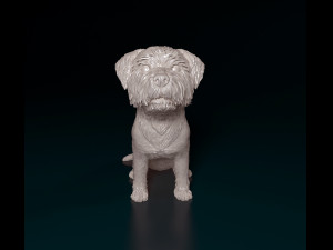 West highland white terrier sitting Modelo de Impressão 3D