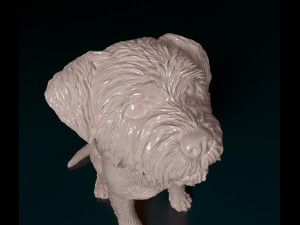 West highland white terrier sitting Modelo de Impressão 3D