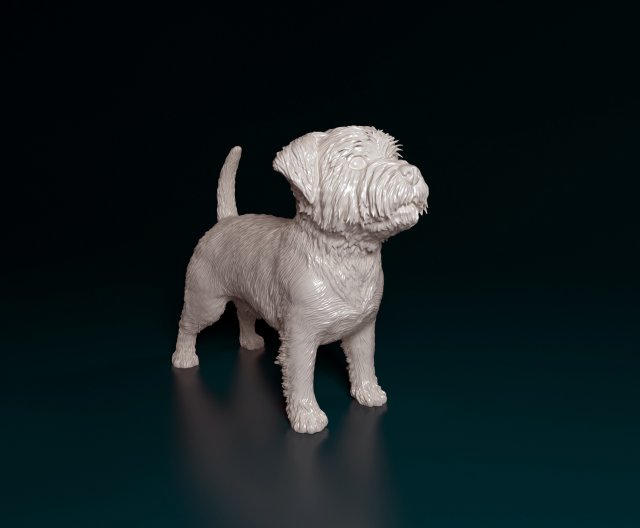 West highland white terrier 2 3D-printmodel .c4d .max .obj .3ds .fbx .stl .blend 