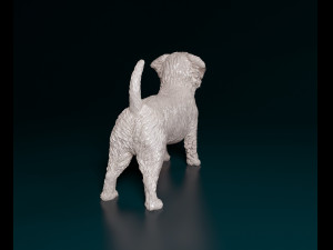 West highland white terrier 2 3D-printmodel