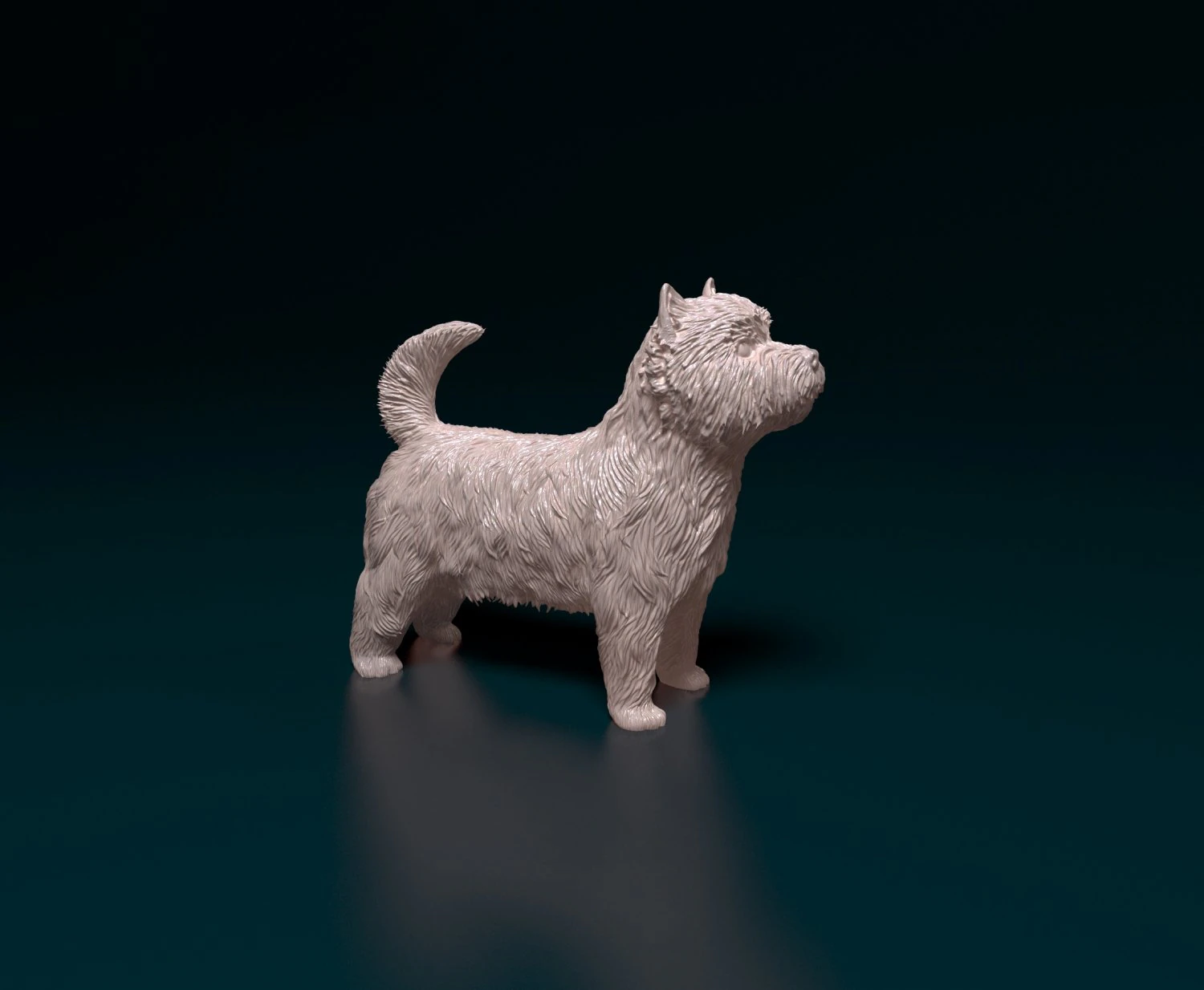 West highland white terrier 3 3D Print Model .c4d .max .obj .3ds .fbx .stl .blend 