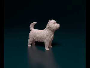 West highland white terrier 3 Modelo de Impressão 3D