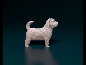 West highland white terrier 3 Model Cetak 3D