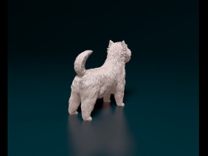 West highland white terrier 3 Model Cetak 3D