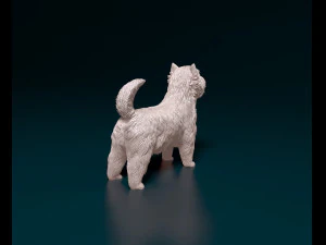 West highland white terrier 3 3D Print Model