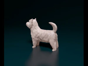 West highland white terrier 3 3D Print Model