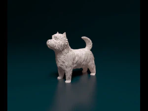 West highland white terrier 3 3D Print Model