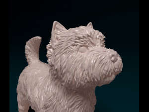 West highland white terrier 3 Model Cetak 3D