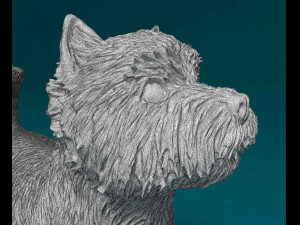 West highland white terrier 3 Model Cetak 3D