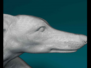 Whippet Modelo de impresión 3D