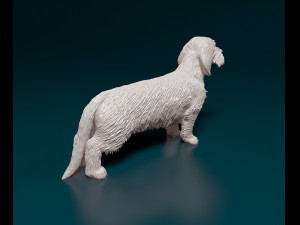 Dachshund Wire-haired 3D प्रिंट मॉडल