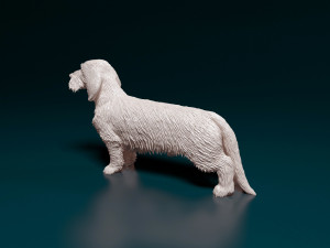 Dachshund Wire-haired 3D प्रिंट मॉडल
