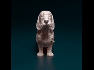 Dachshund Wire-haired 3D प्रिंट मॉडल