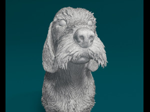 Dachshund Wire-haired 3D प्रिंट मॉडल