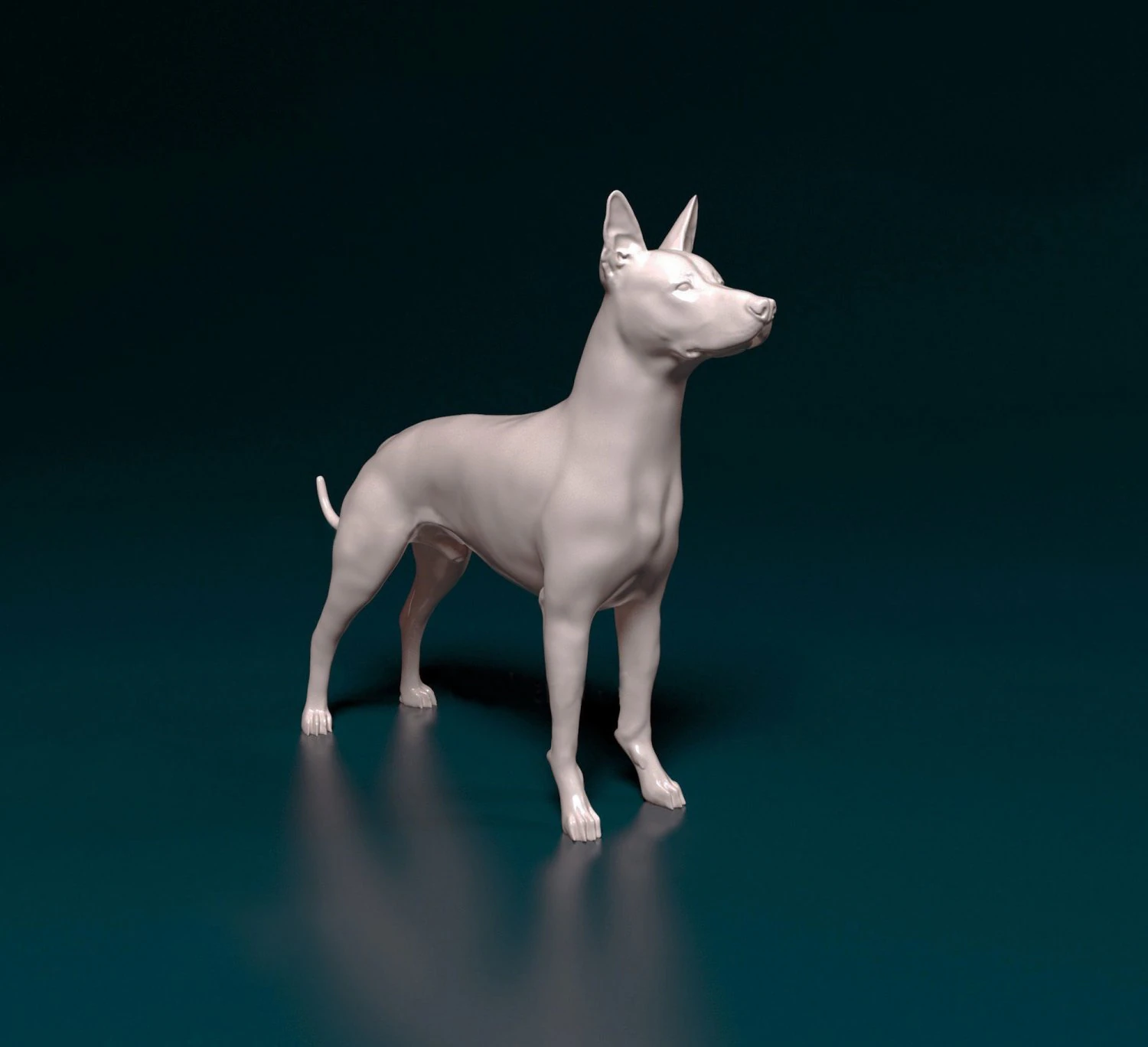 Xoloitzcuintle 3D Print Model .c4d .max .obj .3ds .fbx .stl .blend