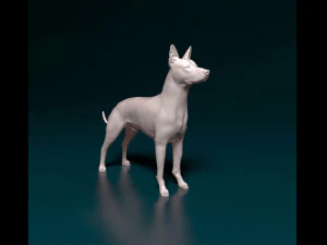 Xoloitzcuintle Modelo de impresión 3D