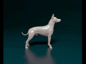 Xoloitzcuintle 3D Print Model