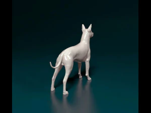 Xoloitzcuintle 3D Print Model
