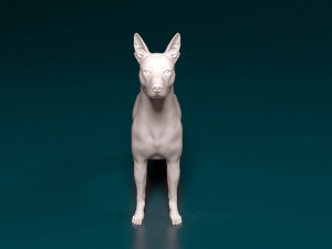 Xoloitzcuintle Modello di stampa 3D