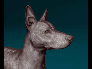 Xoloitzcuintle 3D Print Model
