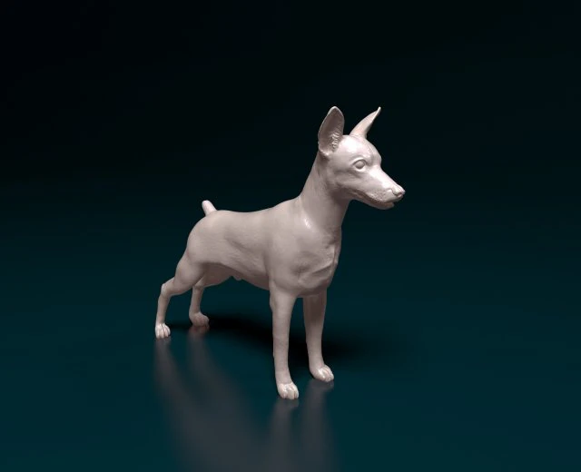 Pinscher Zwerg Modelo de Impressão 3D .c4d .max .obj .3ds .fbx .stl .blend 