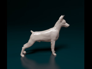 Zwerg pinscher 3D 打印模型