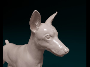 Zwerg pinscher 3D 打印模型