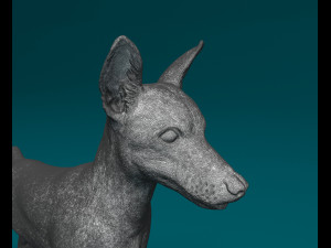 Zwerg pinscher 3D 打印模型