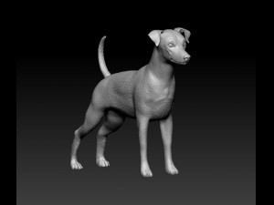 Zwerg pinscher 3D 打印模型