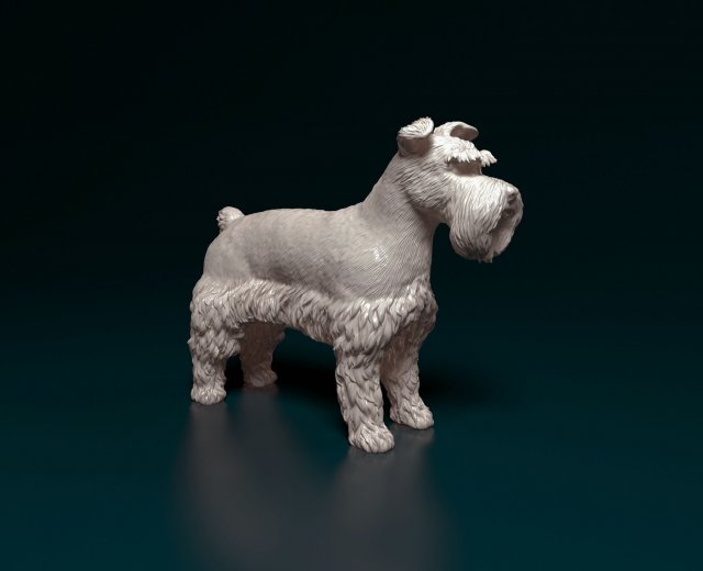 Zwerg Schnauzer 3D प्रिंट मॉडल .c4d .max .obj .3ds .fbx .stl .blend 