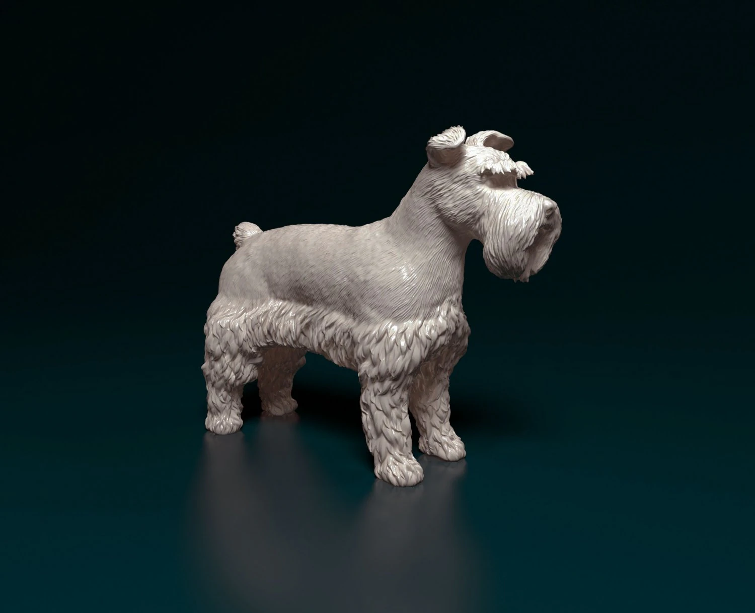 Zwerg Schnauzer 3D Print Model .c4d .max .obj .3ds .fbx .stl .blend 
