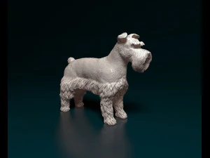 Schnauzer Zwerg Modelo de Impressão 3D