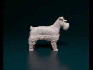 Zwerg Schnauzer 3D Print Model