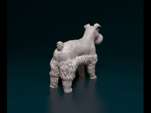 Zwerg Schnauzer 3D प्रिंट मॉडल