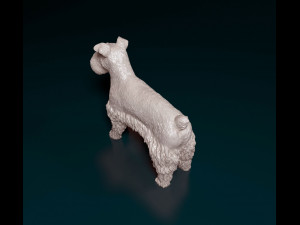 Zwerg Schnauzer 3D प्रिंट मॉडल
