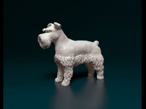 Zwerg Schnauzer 3D प्रिंट मॉडल