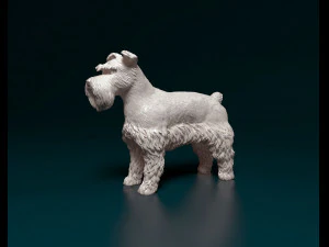 Zwerg Schnauzer 3D Print Model