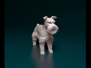 Zwerg Schnauzer 3D प्रिंट मॉडल