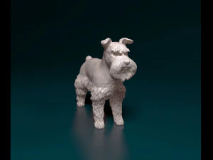 Zwerg Schnauzer 3D Print Model