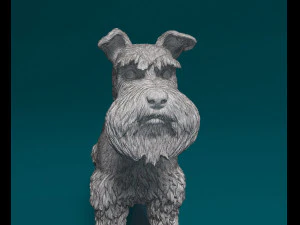 Zwerg Schnauzer 3D Print Model