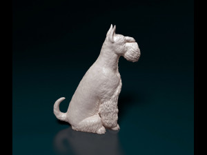 Zwergschnauzer sitting 3D-Druckmodell