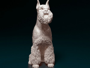 Zwergschnauzer sitting 3D-Druckmodell